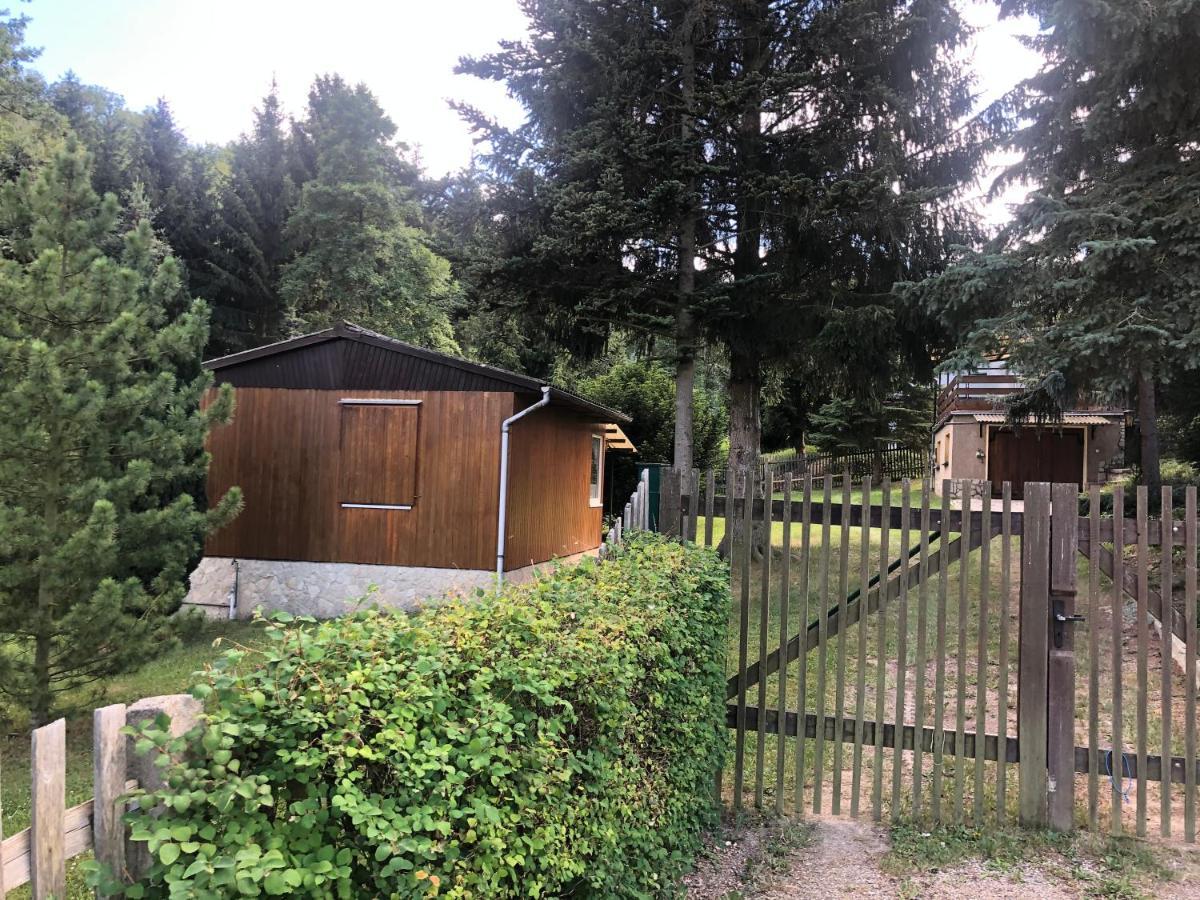 Waldfrieden Bungalow Garnsdorf Zewnętrze zdjęcie