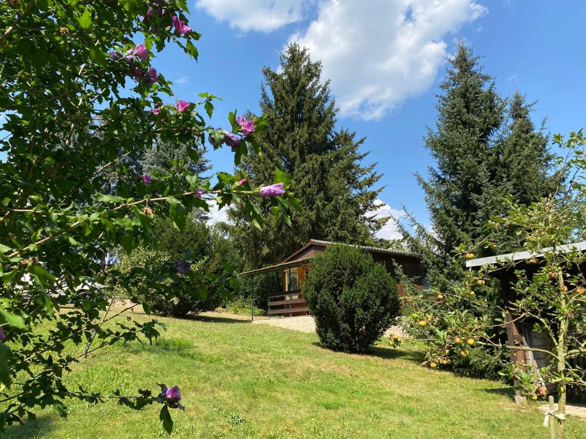 Waldfrieden Bungalow Garnsdorf Zewnętrze zdjęcie